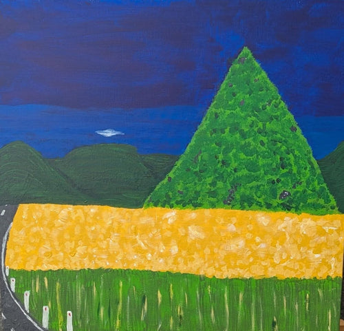 Shawnah Cady | Painting | Djarragun