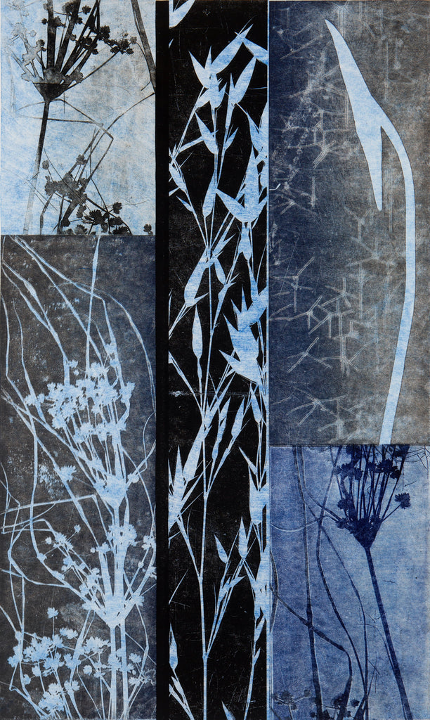 Roslyn Kean | The Space Between| Vibrant, Exotic and Invasive