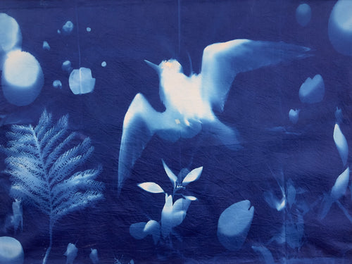 Rebecca Tapscott | Echoes of Absence | Printmaking | White Tern