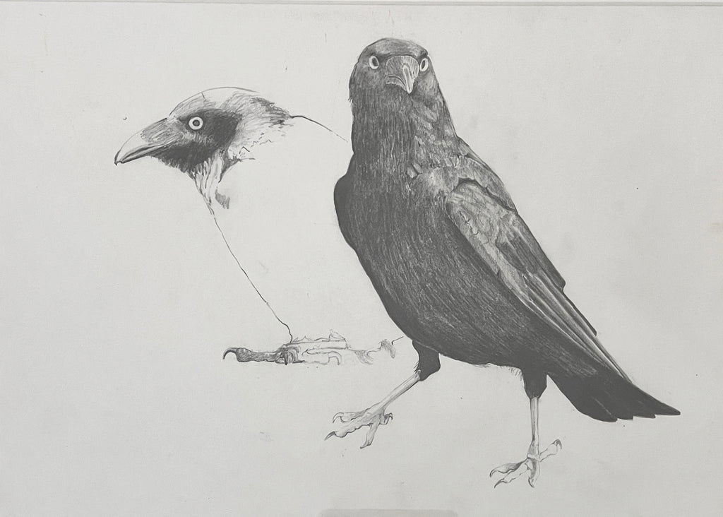 Mike MacGregor | Drawing | White and Black