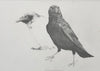 Mike MacGregor | Drawing | White and Black