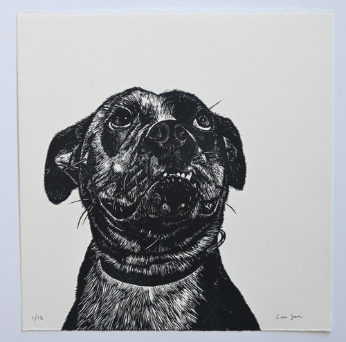 Lisa Jose | Printmaking | ZaaZoo