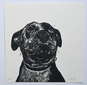 Lisa Jose | Printmaking | ZaaZoo