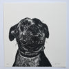 Lisa Jose | Printmaking | ZaaZoo