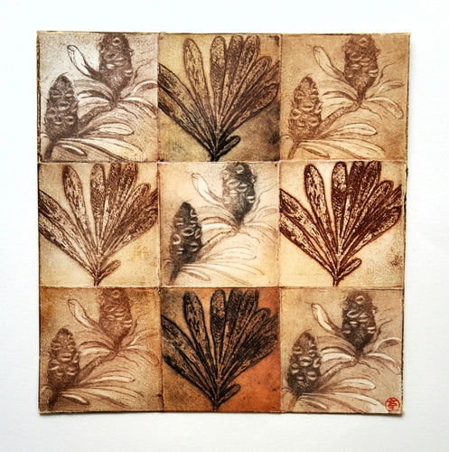 Jo Hollier | Printmaking | Banksia integrifolia I