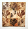 Jo Hollier | Printmaking | Banksia integrifolia I