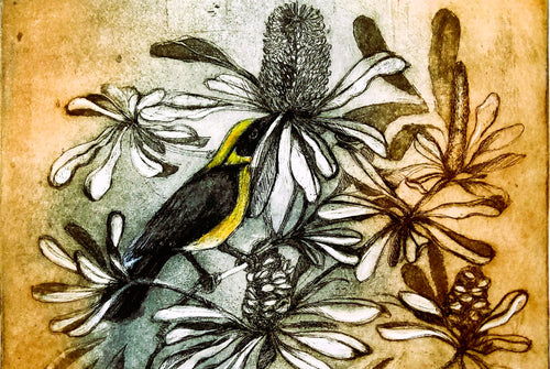 Jo Hollier | Printmaking | Yellow Cheeked Honeyeater