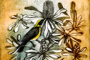 Jo Hollier | Printmaking | Yellow Cheeked Honeyeater
