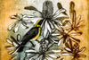 Jo Hollier | Printmaking | Yellow Cheeked Honeyeater