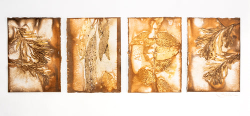 Jo Hollier | Printmaking | Quad of eco dyed plants