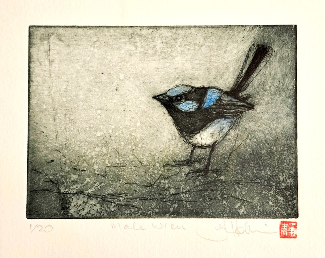Jo Hollier | Printmaking | Male Wren