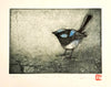 Jo Hollier | Printmaking | Male Wren