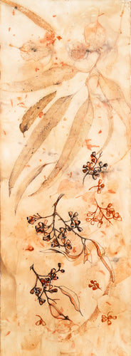 Jo Hollier | Drawing | Eucalyptus nuts
