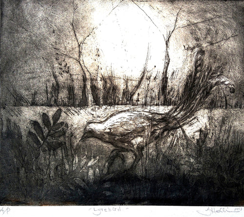 Jo Hollier | Printmaking | Lyrebird (small)