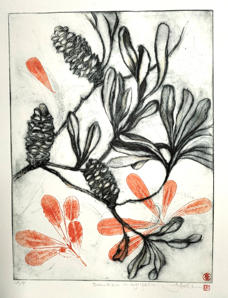 Jo Hollier | Printmaking | Banksia Integrifolia + Leaves