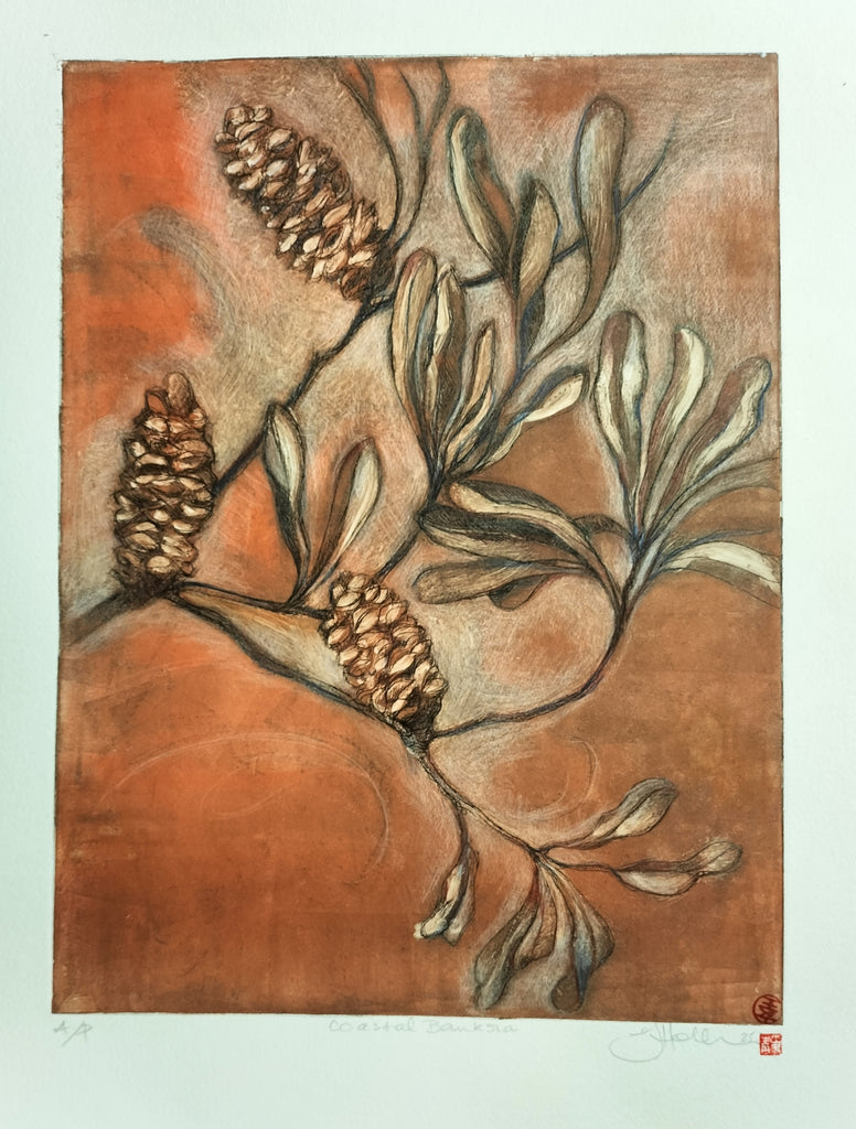 Jo Hollier | Printmaking | Coastal Banksia II