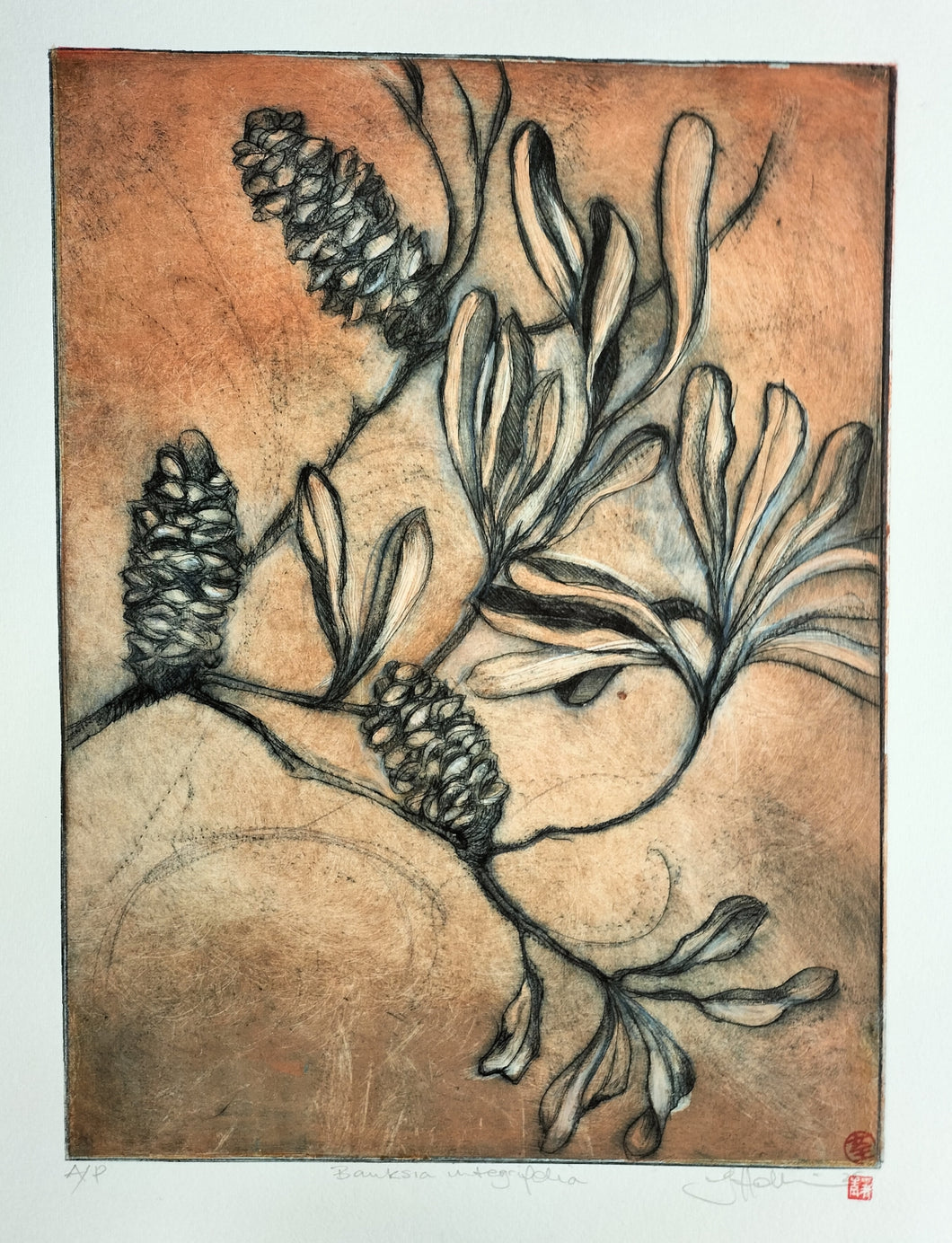 Jo Hollier | Printmaking | Coastal banksia I
