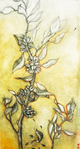 Jo Hollier | Printmaking | Dani's Hakea