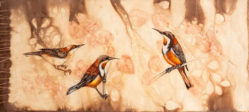Jo Hollier | Drawing | Eastern Spinebills with a Juvenile**