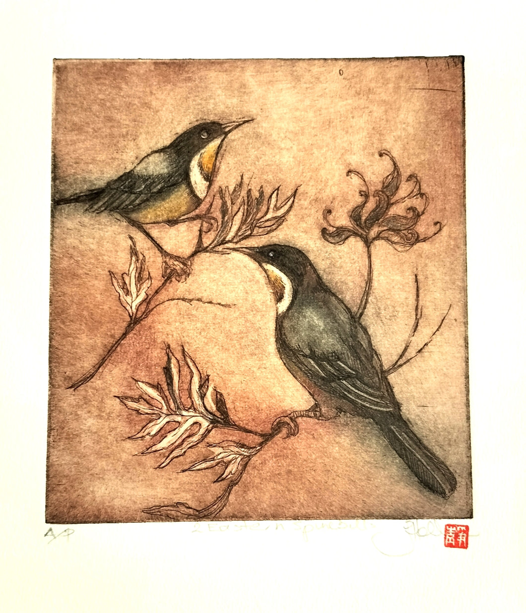 Jo Hollier | Printmaking | Eastern Spinebills