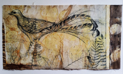 Jo Hollier | Printmaking | Lyrebird (etching on ecoprint)