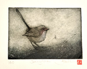 Jo Hollier | Printmaking | Jenny Wren
