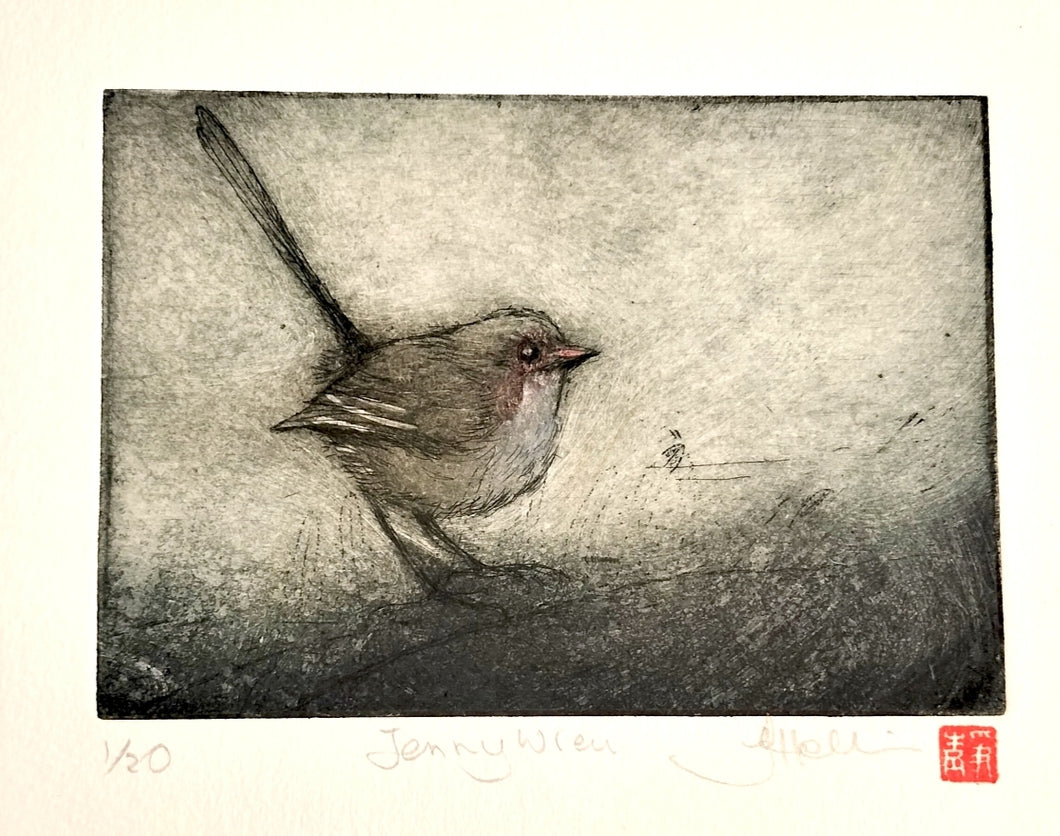 Jo Hollier | Printmaking | Jenny Wren