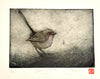 Jo Hollier | Printmaking | Jenny Wren
