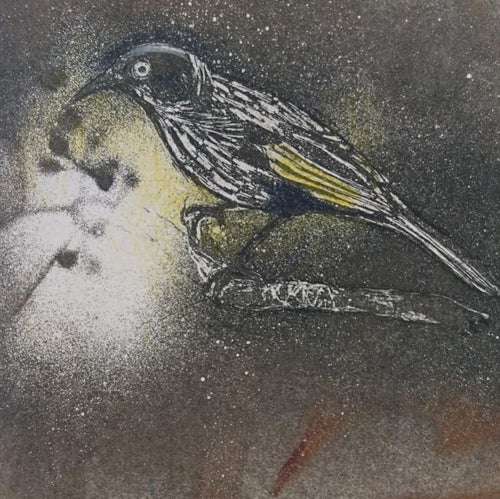 Jo Hollier | Printmaking | New Holland honeyeater