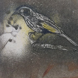 Jo Hollier | Printmaking | New Holland honeyeater