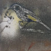 Jo Hollier | Printmaking | New Holland honeyeater