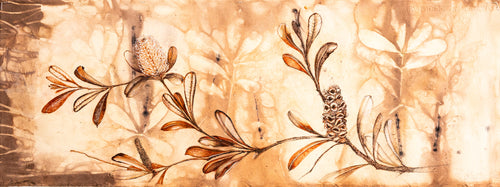 Jo Hollier | Drawing | Ode to the Banksia integrifolia