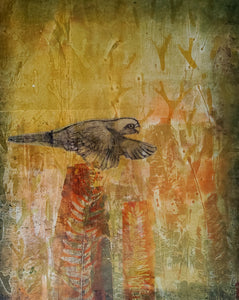 Jo Hollier | Printmaking | Parrot in Flight