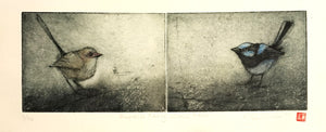 Jo Hollier | Printmaking | Superb Fairy Wren Pair