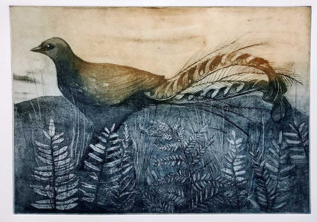 Jo Hollier | Printmaking | Superb Lyrebird