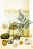 Jo Hollier | Printmaking | Waters rising II