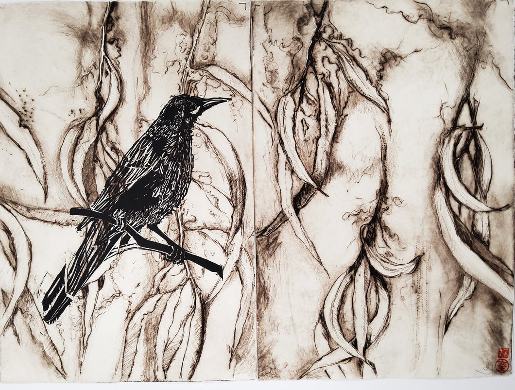 Jo Hollier | Printmaking | Wattlebird in the Canopy