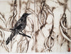Jo Hollier | Printmaking | Wattlebird in the Canopy