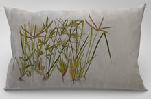 Load image into Gallery viewer, Varta Living | Cushion cover- Native Grass |